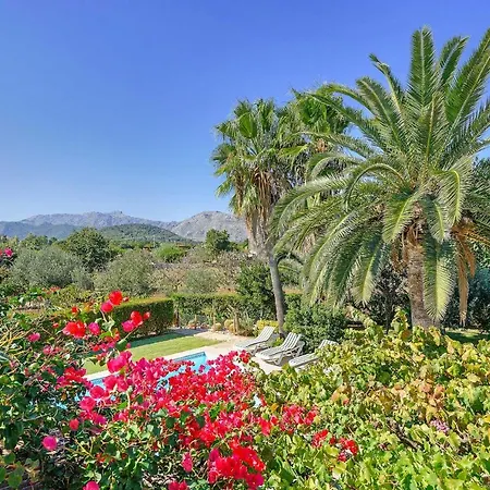 Casa La Palmera Villa *