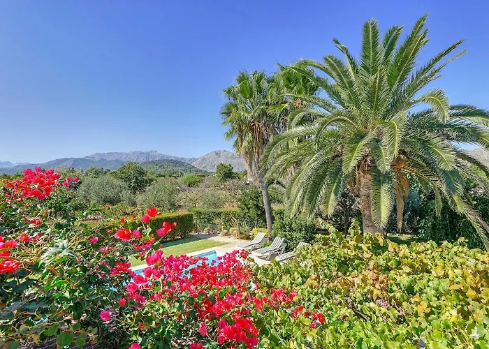 Casa La Palmera Villa *