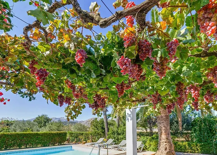 Willa Casa La Palmera Pollensa