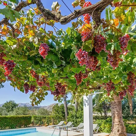 Villa Casa La Palmera Pollença